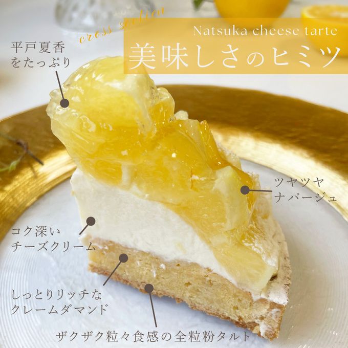 【父の日 早割 誕生日ケーキ 送料無料 メディア掲載店】初夏限定 夏香チーズタルト サマーオレンジ タルト 14cm 父の日2025 お中元2025 9
