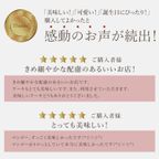 フルーツたっぷり 完熟マンゴーチーズタルト 14cm 4〜6名様 即日出荷 お届け指定可  お取り寄せ 誕生日ケーキ タルト 父の日2026 9