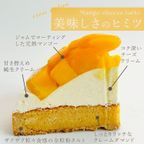 フルーツたっぷり 完熟マンゴーチーズタルト 14cm 4〜6名様 即日出荷 お届け指定可  お取り寄せ 誕生日ケーキ タルト ホワイトデー 2026 4