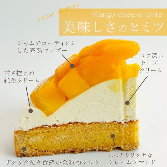 フルーツたっぷり 完熟マンゴーチーズタルト 14cm 4〜6名様 即日出荷 お届け指定可  お取り寄せ 誕生日ケーキ タルト ホワイトデー 2026 4
