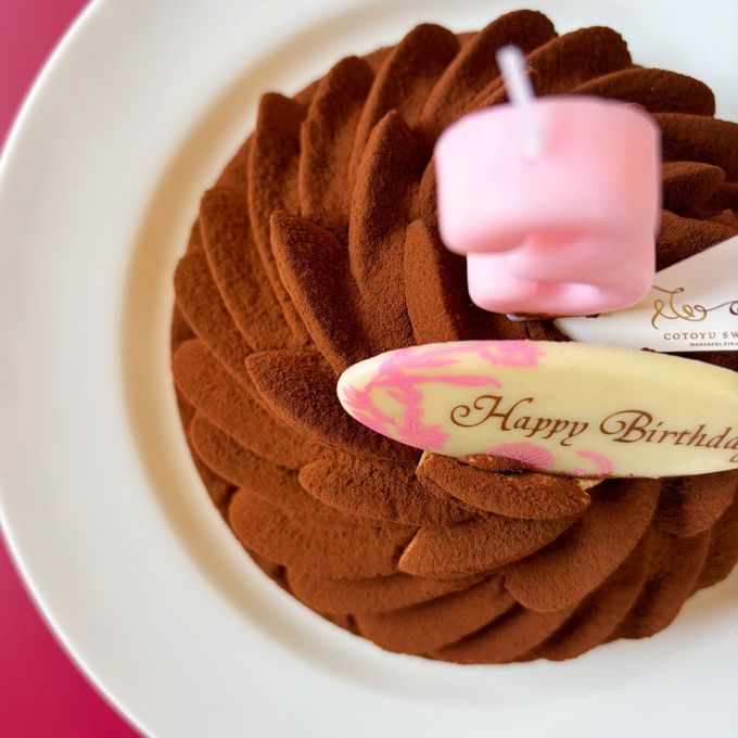 誕生日プレート付 誕生日ラッピング クリームたっぷり 大人のティラミスタルト 12cm 3〜4名様即日出荷 お届け指定可  お取り寄せ  誕生日ケーキ 母の日2026 3