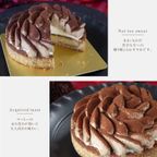 【お中元 御中元 早割 お取り寄せ 送料無料 誕生日ケーキ メディア掲載店】ほろ苦オトナのティラミスタルト 14cm お中元2025 3