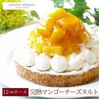 【バレンタイン 早割 お取り寄せ 送料無料 誕生日ケーキ メディア掲載店】完熟マンゴーチーズタルト 12cm 3〜4名様 バレンタイン2026 誕生日ケーキ 1