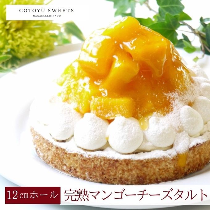 【バレンタイン 早割 お取り寄せ 送料無料 誕生日ケーキ メディア掲載店】完熟マンゴーチーズタルト 12cm 3〜4名様 バレンタイン2026 誕生日ケーキ 1
