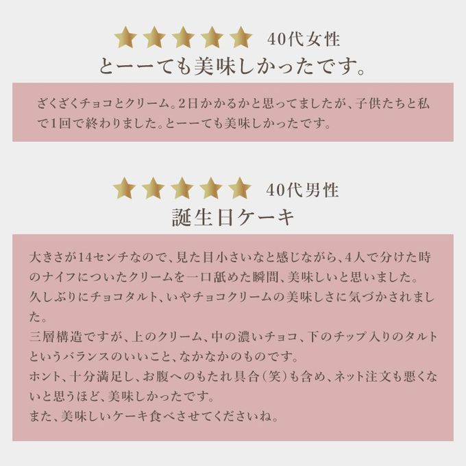 クリームたっぷり5層のリッチチョコタルト  18cm 8〜10名様即日出荷 お届け指定可 早割 お取り寄せ  誕生日ケーキ 父の日2026 お中元2026 7