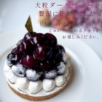 【お中元 御中元 早割 お取り寄せ 送料無料 誕生日ケーキ メディア掲載店】贅沢ダークチェリータルト 14cm お中元2025 4