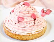クリームたっぷり さくらちーずたると 12cm 3〜4名様 即日出荷 お届け指定可 バレンタイン 早割 お取り寄せ  誕生日ケーキ  ホワイトデー 2026 1