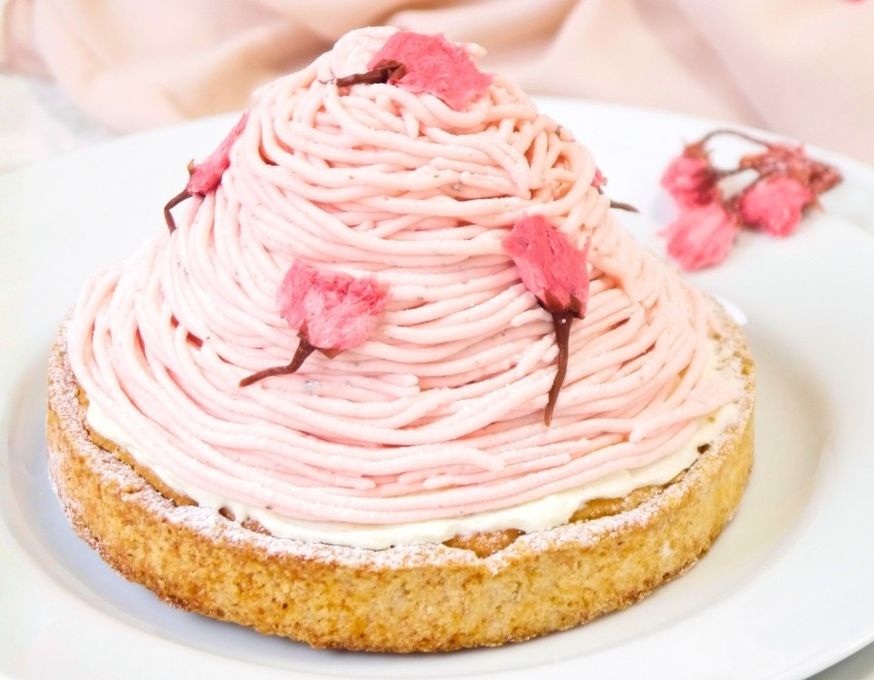 クリームたっぷり さくらちーずたると 12cm 3〜4名様 即日出荷 お届け指定可 バレンタイン 早割 お取り寄せ  誕生日ケーキ  ホワイトデー 2026 1