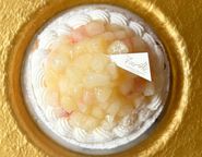 贅沢どっさり桃のチーズタルト 12cm  3〜4名様 即日出荷 お届け指定可  お取り寄せ 誕生日ケーキ タルト 母の日2026 2