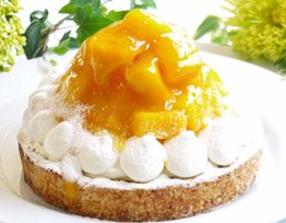 フルーツたっぷり 完熟マンゴーチーズタルト 14cm 4〜6名様 即日出荷 お届け指定可  お取り寄せ 誕生日ケーキ タルト ホワイトデー 2026