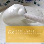 フルーツたっぷり 完熟マンゴーチーズタルト 14cm 4〜6名様 即日出荷 指定日可 敬老の日 ハロウィン 冬ギフト お歳暮  おしゃれ  誕生日ケーキ タルト フルーツタルト ハロウィン2026 敬老の日2026 6