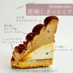 【クリスマスケーキ 2024 お歳暮 御歳暮 早割 お取り寄せ 送料無料  誕生日ケーキ メディア掲載店】ほろ苦オトナのティラミスタルト 18cm クリスマス2024 お歳暮2024 8