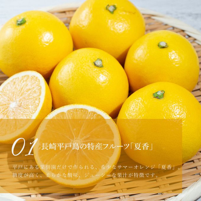 【父の日 早割 誕生日ケーキ 送料無料 メディア掲載店】初夏限定 夏香チーズタルト サマーオレンジ タルト 14cm 父の日2025 お中元2025 2