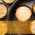 どっさりオレンジ＆ピンクグレープフルーツチーズタルト 12cm 3〜4名様   即日出荷 指定日可 敬老の日 ハロウィン 冬ギフト お歳暮  おしゃれ  誕生日ケーキ タルト フルーツタルト ハロウィン2026 敬老の日2026 7