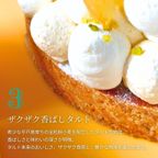 爽やかレモンタルト 12cm  3〜4名様 即日出荷 お届け指定可  お取り寄せ 誕生日ケーキ タルト  お中元2026 6