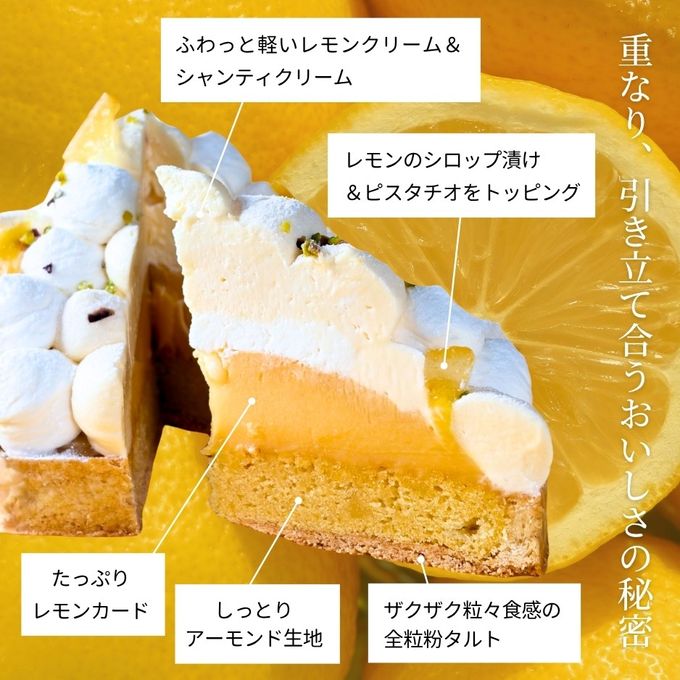 爽やかレモンタルト 12cm  3〜4名様 即日出荷 お届け指定可  お取り寄せ 誕生日ケーキ タルト  お中元2026 3