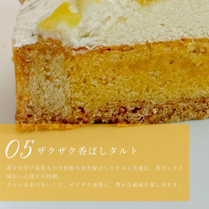 【クリスマスケーキ 2024 お歳暮 御歳暮 早割 お取り寄せ 送料無料  誕生日ケーキ メディア掲載店】完熟 パイン チーズタルト 18cm クリスマス2024 お歳暮2024 8