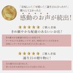 誕生日プレート付 誕生日ラッピング 鬼盛りフルーツ 贅沢ダークチェリータルト 14cm 4〜6名様 即日出荷 お届け指定可  お取り寄せ 誕生日ケーキ タルト 母の日2026 10