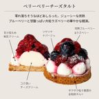 選べる3種 プティ・フール3個セット 即日出荷 お届け指定可  お取り寄せ 誕生日ケーキ タルト お中元2026 4