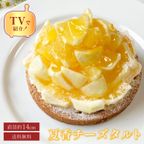 【父の日 早割 誕生日ケーキ 送料無料 メディア掲載店】初夏限定 夏香チーズタルト サマーオレンジ タルト 14cm 父の日2025 お中元2025 1