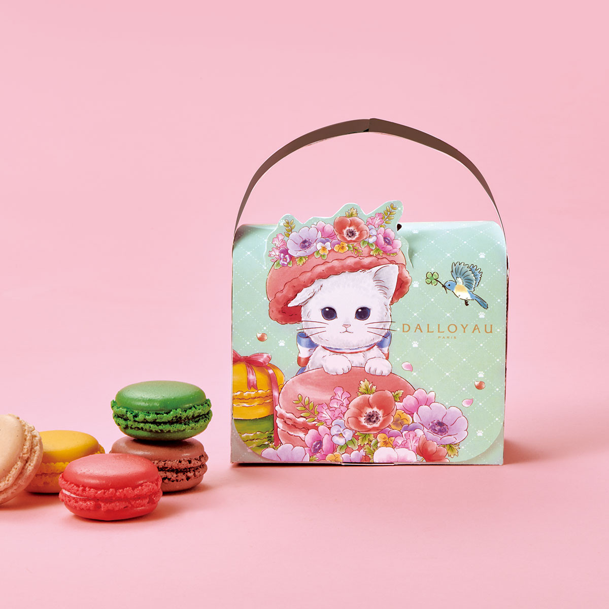 ダロワイヨ】ニャカロン詰め合わせ（5個入） （ダロワイヨ