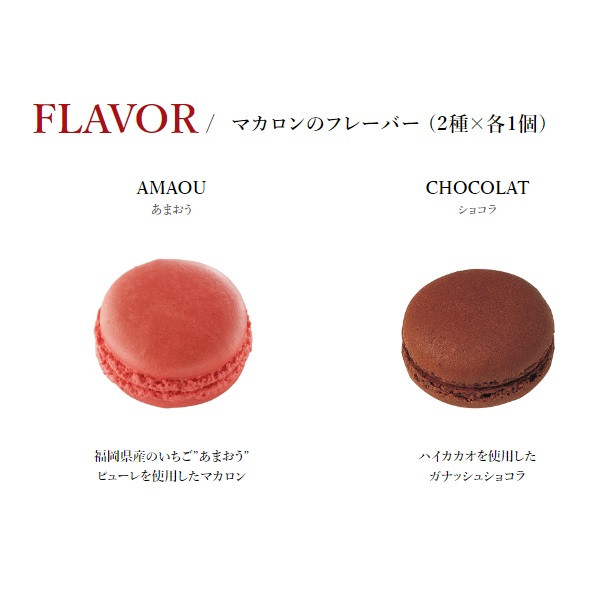 お値引き❣️ヨナス・リンドホルム マカロン 2個セット 【公式通販】