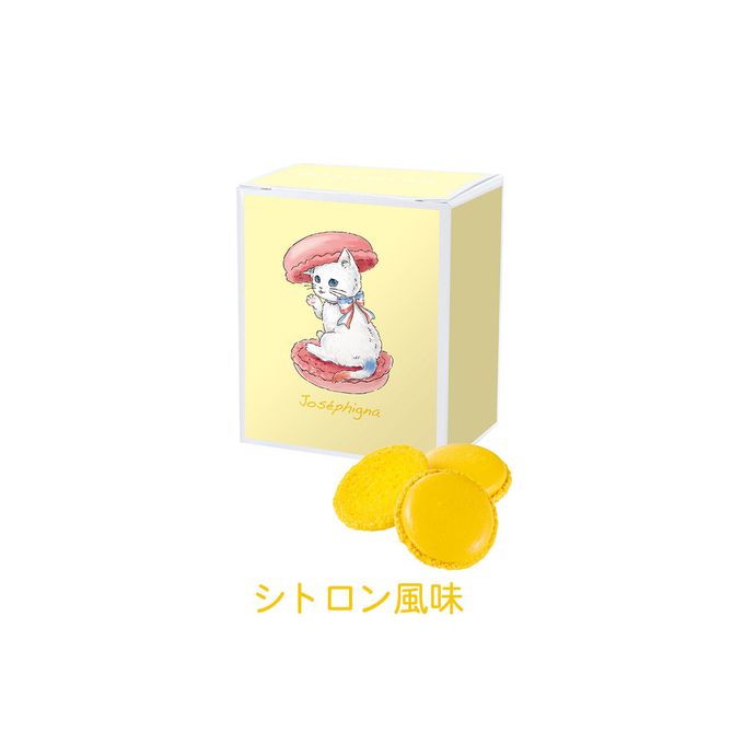 【ダロワイヨ】ニャカロンラスク 3個セット（テ ヴェール風味/フレーズ風味/シトロン風味）  6