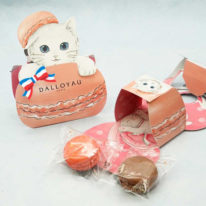 【ダロワイヨ】猫型ニャカロン ピンク   1