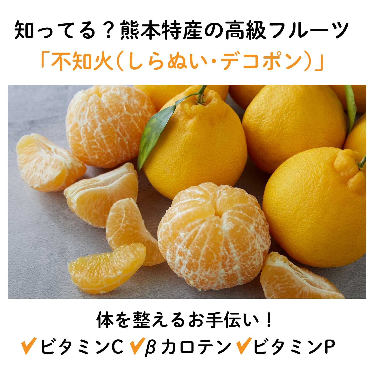 花材セット オレンジ  Ｎｏ．610 花材セット オレンジ No．610