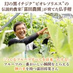 ひとくち幻の柑橘 5