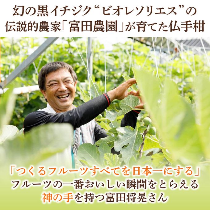 ひとくち幻の柑橘 5