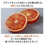 不知火 ブラッドオレンジフルーツチョコレートギフトセット｜国産 植物油脂不使用カカオ60％ダークチョコレート 御中元 御歳暮 クリスマス ホワイトデー バレンタイン2025 6