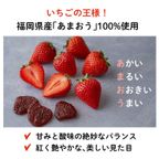 いちごの王様"あまおう"フルーツチョコレート｜バレンタイン2025 4