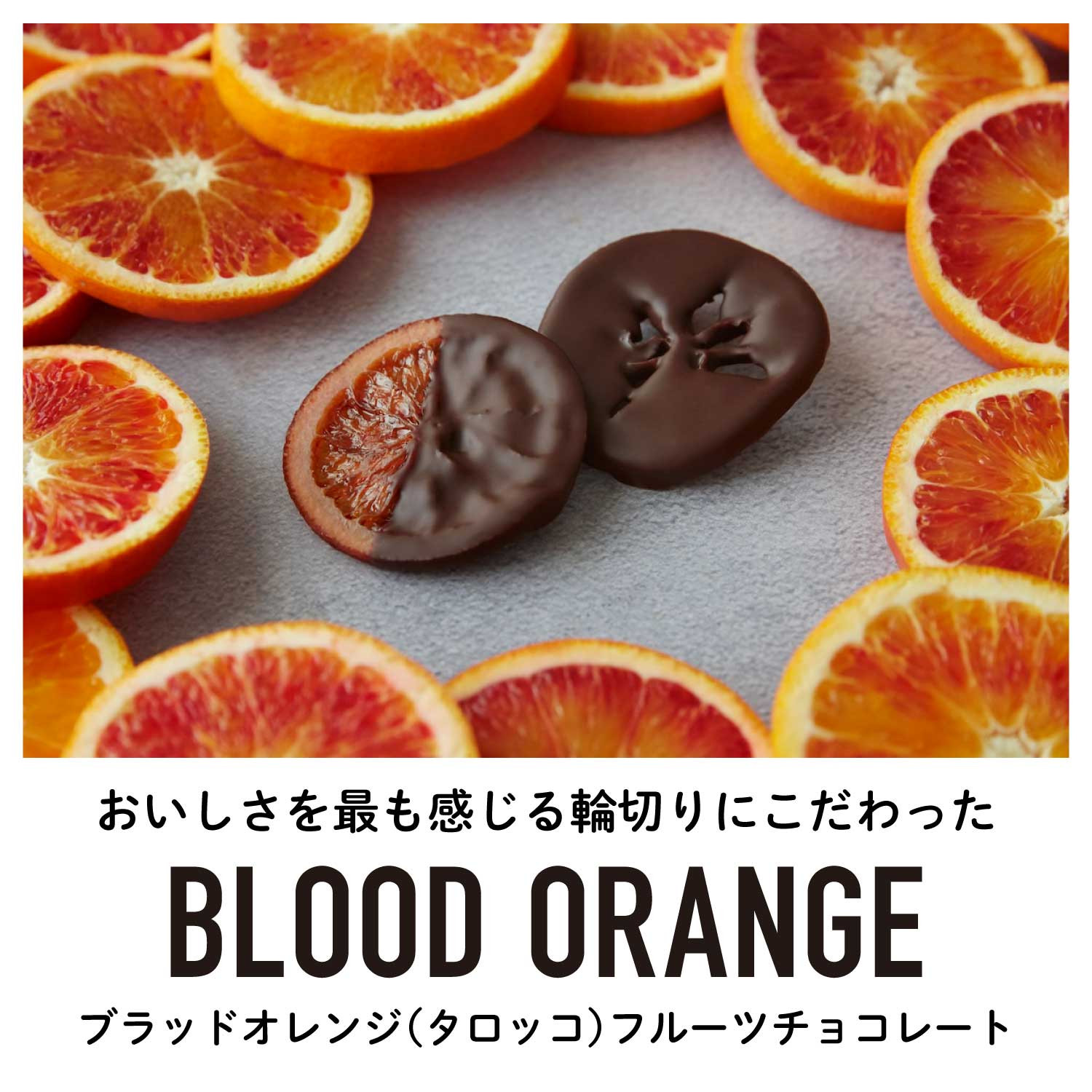 不知火 ブラッドオレンジフルーツチョコレートギフトセット｜国産 植物