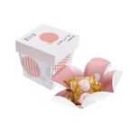 ましゅまろ（あまおう苺）5個入 2