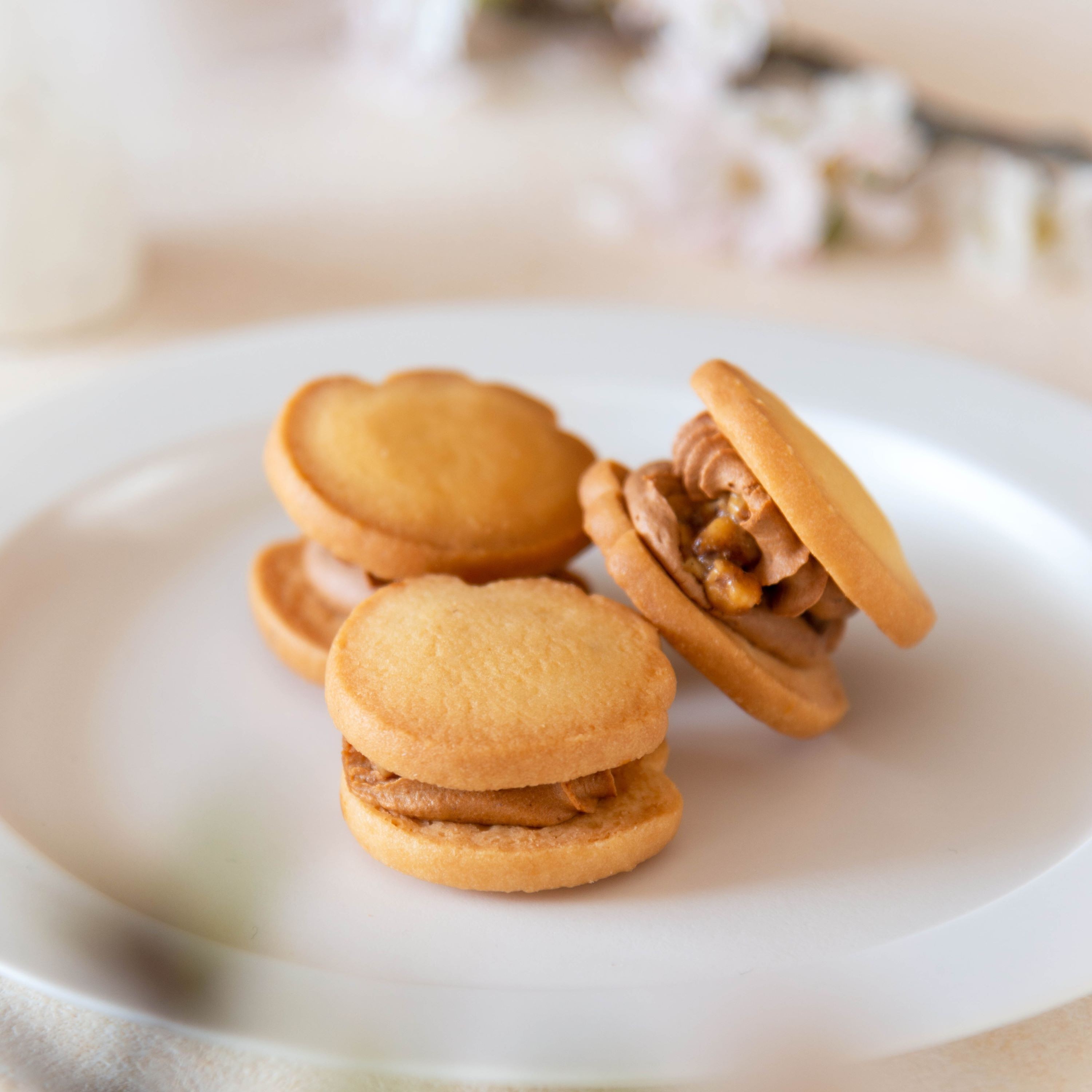 祝うてサンド2個入（石村萬盛堂） | Cake.jp