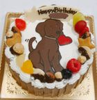 キャラクターケーキ チョコ 5号  3