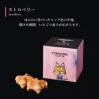 【送料無料】ソルベ＆コロコロワッフル キューブ セット【夏の新作スイーツと定番焼き菓子】 10