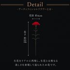 【送料無料】カーネーション付ワッフルケーキ10種 定番 母の日2026 6