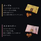 【送料無料】創業祭セット ＜Mサイズ＞  創業34年記念！お得なセット 10