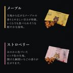 【送料無料】福袋2026 ＜Mサイズ＞ワッフルケーキ屋さんのお得なセット 10