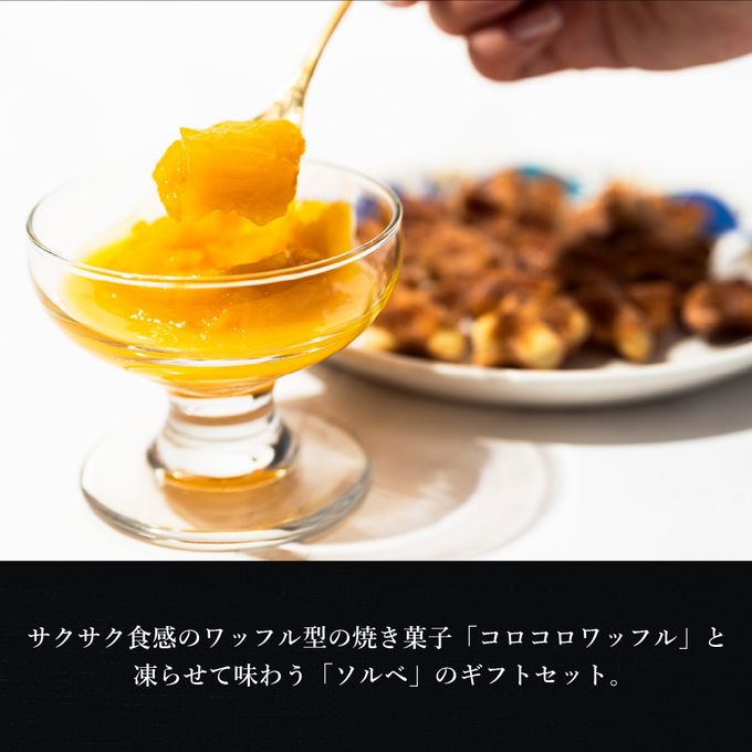 【送料無料】ソルベ＆コロコロワッフル キューブ セット【夏の新作スイーツと定番焼き菓子】 2