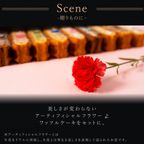 【送料無料】カーネーション付ワッフルケーキ10種 定番 母の日2026 5