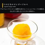 【送料無料】ソルベ＆コロコロワッフル キューブ セット【夏の新作スイーツと定番焼き菓子】 6