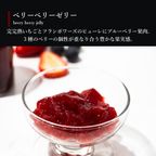 【送料無料】ソルベ&ゼリー6個セット【夏の新作スイーツ】 10