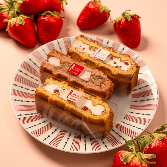 【送料無料】3月限定 ワッフル ケーキ 10種セット【いちごフェア】 1