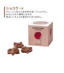 【送料無料】【ワッフル・ケーキの店 R.L（エール・エル）】コロコロワッフルキューブ15個セット（rose）  6