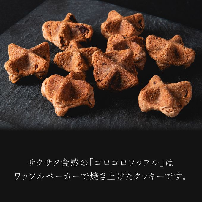 【ワッフル・ケーキの店R.L（エール・エル）】コロコロワッフルキューブ「ダブルチョコ」ホワイトデー2025 7