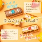 【送料無料】【ワッフル・ケーキの店R.L（エール・エル）】《季節限定》ワッフル ケーキ 20種 Bセット  お中元2025 4