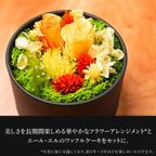 【送料無料】フラワードーム付きワッフル10種セット【イエロー】 母の日2026 2